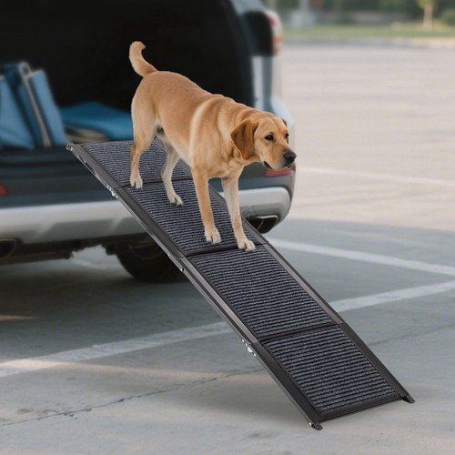 Foldable dog ramp - foldable,