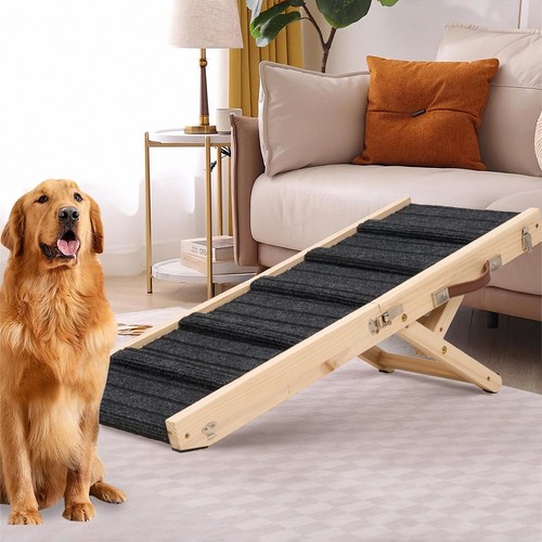 Adjustable heights dog - dog, pet