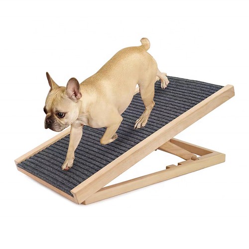 Adjustable heights dog - heights, pet