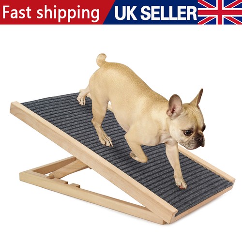 Adjustable heights dog - dog, pet
