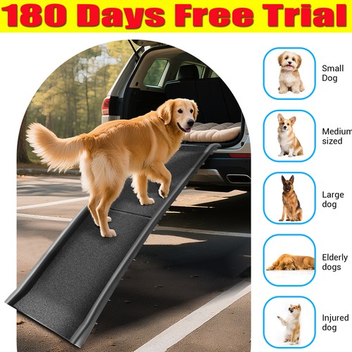 Folding pet ramp - for, w/