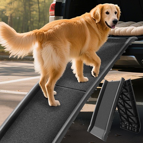 Dog car ramp - car,