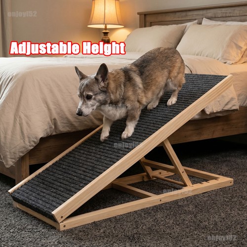 Adjustable height pet - height, cat