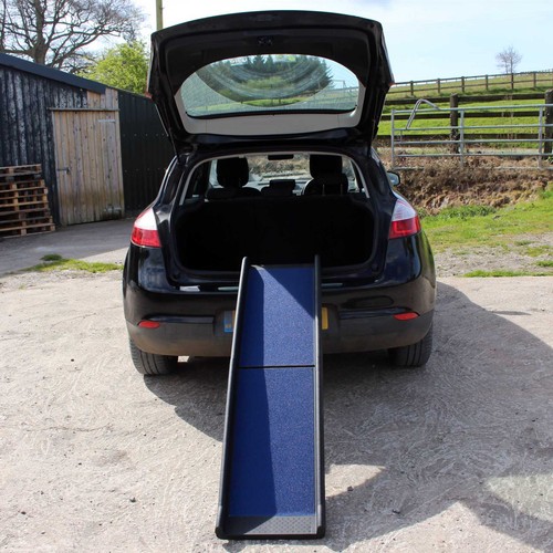 2nds dog pet - ramp, plastic