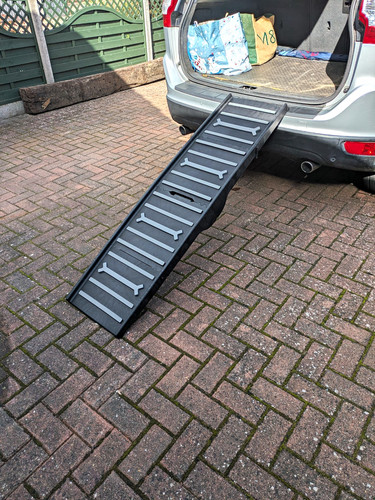 Folding plastic dog ramp - plastic,