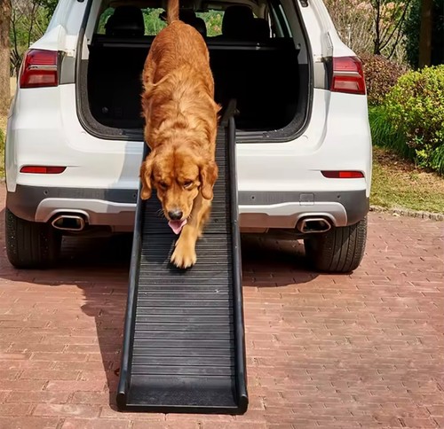 Dog pet ramp plastic - dog,
