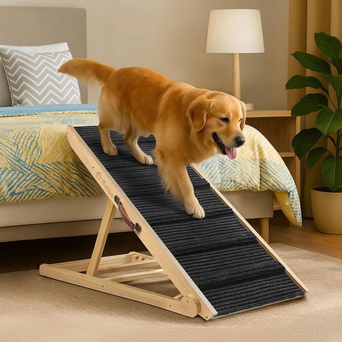 Large dog ramp for - &, sofa
