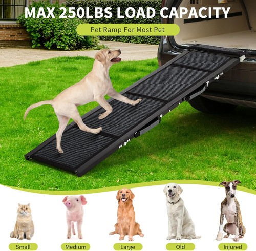 Long pet dog - 63", car