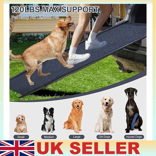 Folding portable large dog - folding,