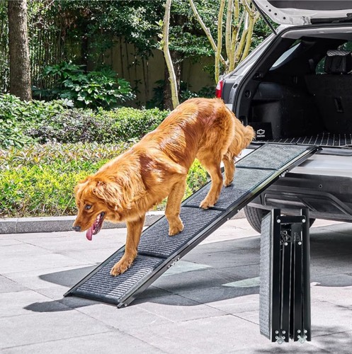 Dog ramp for - ramp,