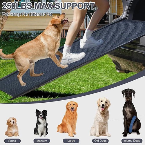 Non slip pet car - car, ramp