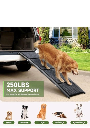 The fellie dog ramp - the,