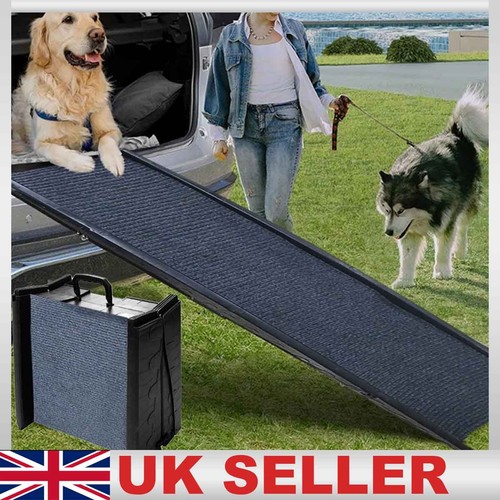 Folding portable large - large, dog