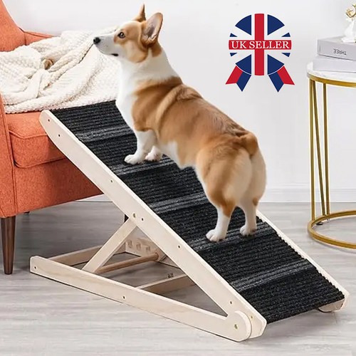 Adjustable heights dog - 7,