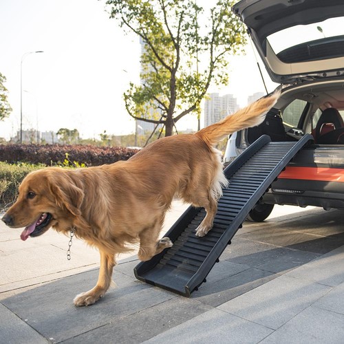 Large heavy duty pet - large,