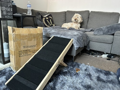 Wooden dog ramp adjustable - dog,