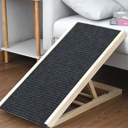 Adjustable heights dog - dog, pet