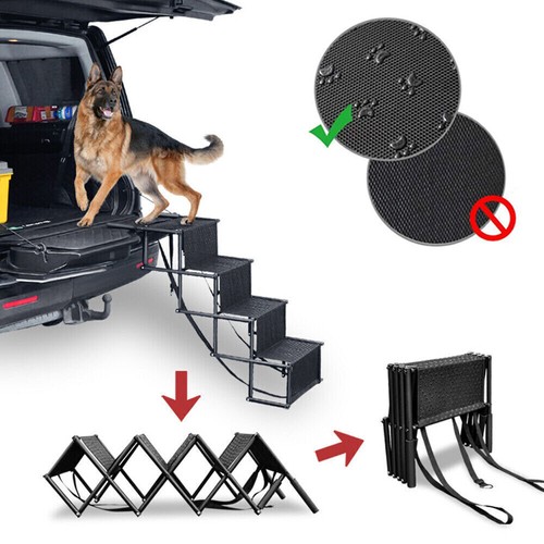 Portable folding dog - dog, ramps