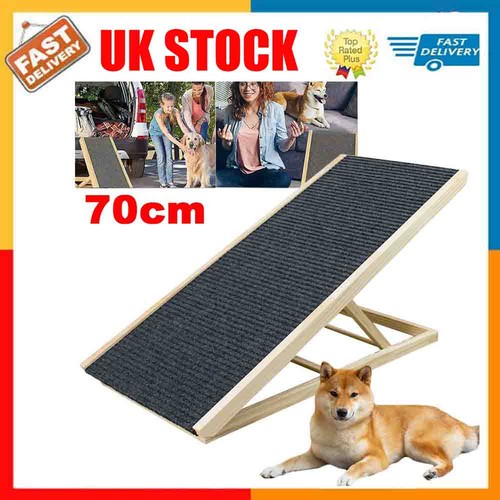 Adjustable heights dog - dog, pet