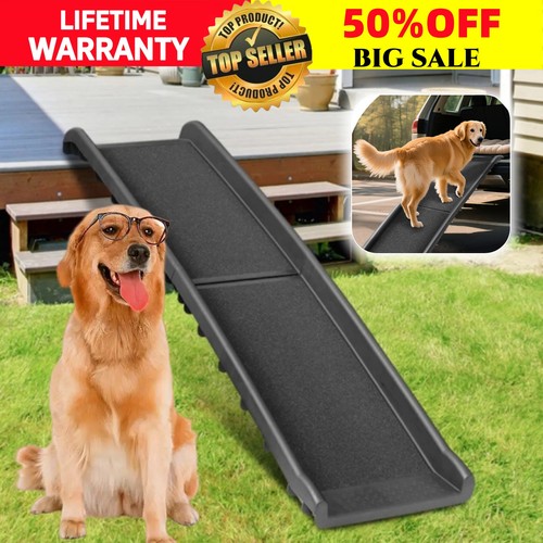 Large dog pet - dog, strong