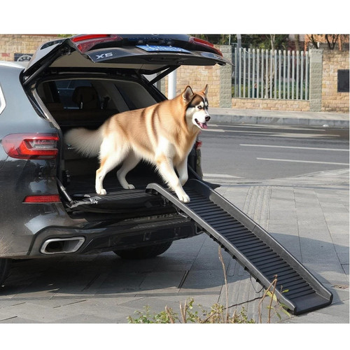 Dog pet ramp - plastic, folding