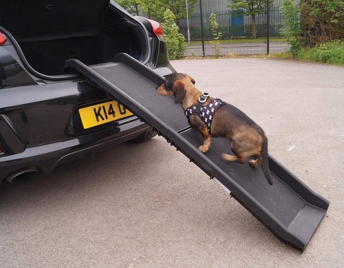 Dog pet ramp car - dog,