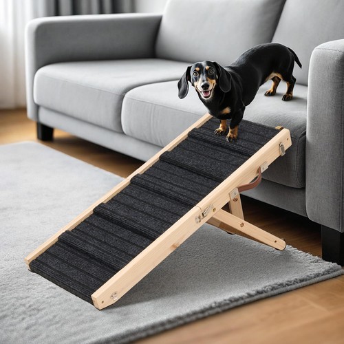 Adjustable heights dog pet - heights,