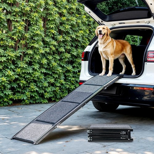 Folding dog car ramp - dog,