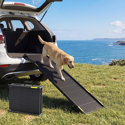 Foldable dog ramp portable - dog, ramp,