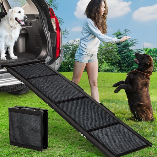 Heavy duty folding - folding, ramp