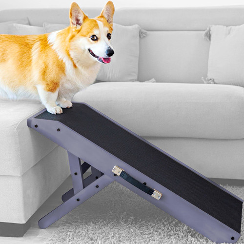 Priorpet birchwood dog - birchwood, ramp