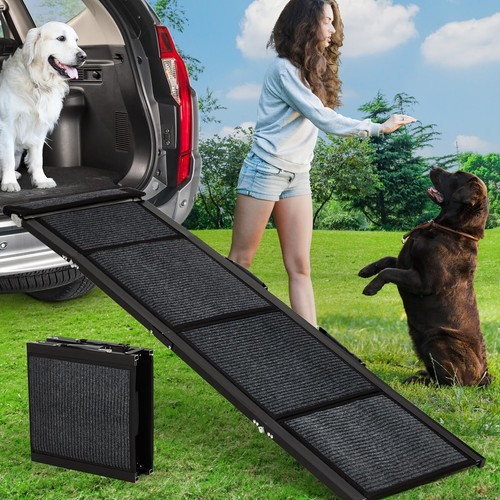 Folding pet dog - folding, ramp