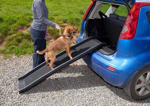 2nds dog pet ramp - pet, plastic